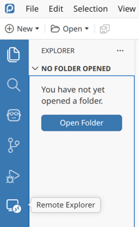 Screenshot of Positron's remote explorer